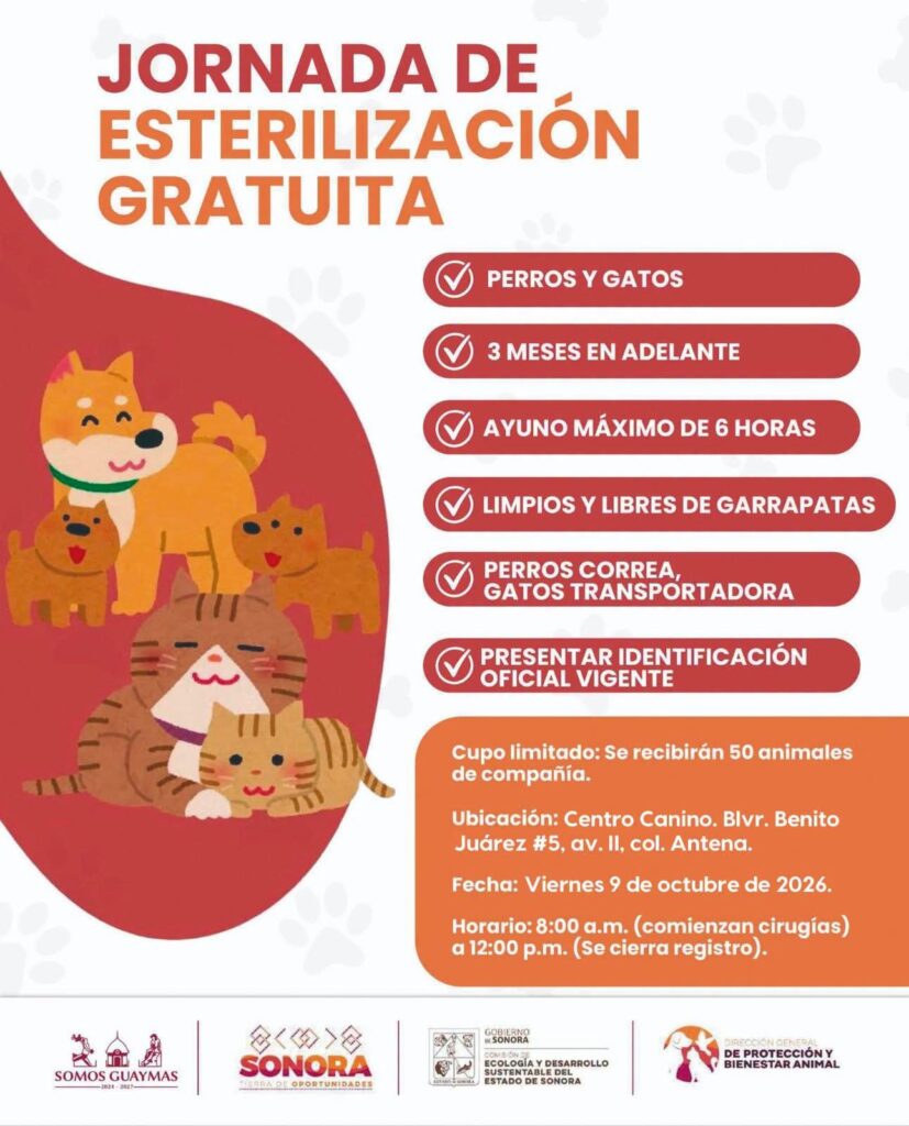 FB_IMG_1791502199399 FB_IMG_1791502199399