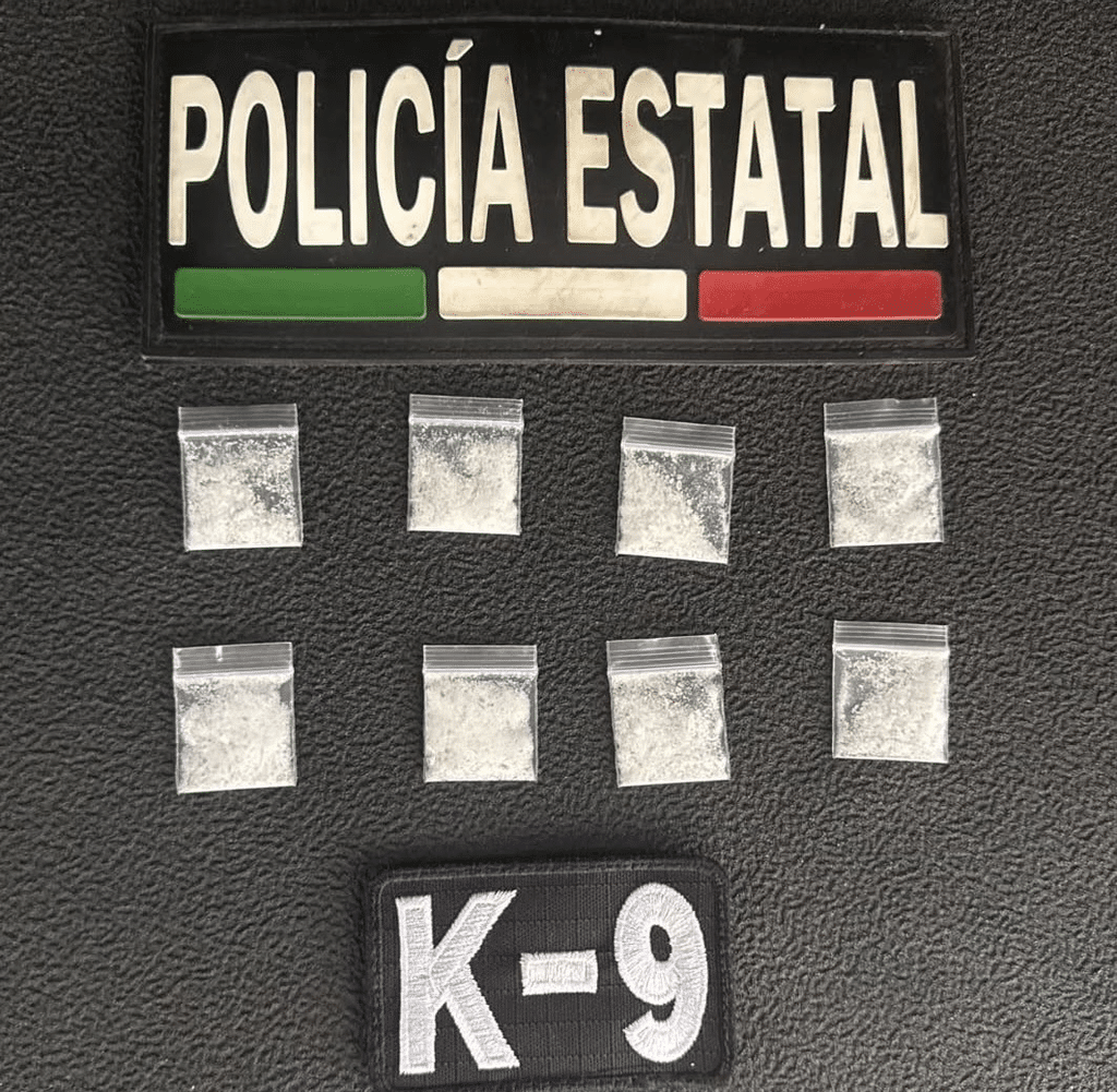 Precisión, entrenamiento y servicio: la unidad K9 de la PESP en acción 1 image