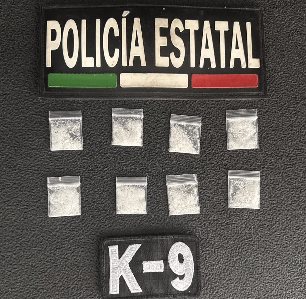 Precisión, entrenamiento y servicio: la unidad K9 de la PESP en acción