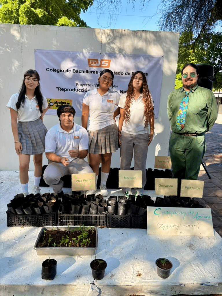 Gobierno de Sonora pone en marcha 8 viveros de especies nativas en red forestal: Cobach 2 image