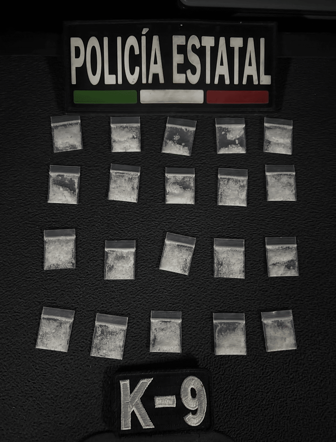 Unidad K9 de la PESP fortalece vigilancia preventiva con resultados positivos