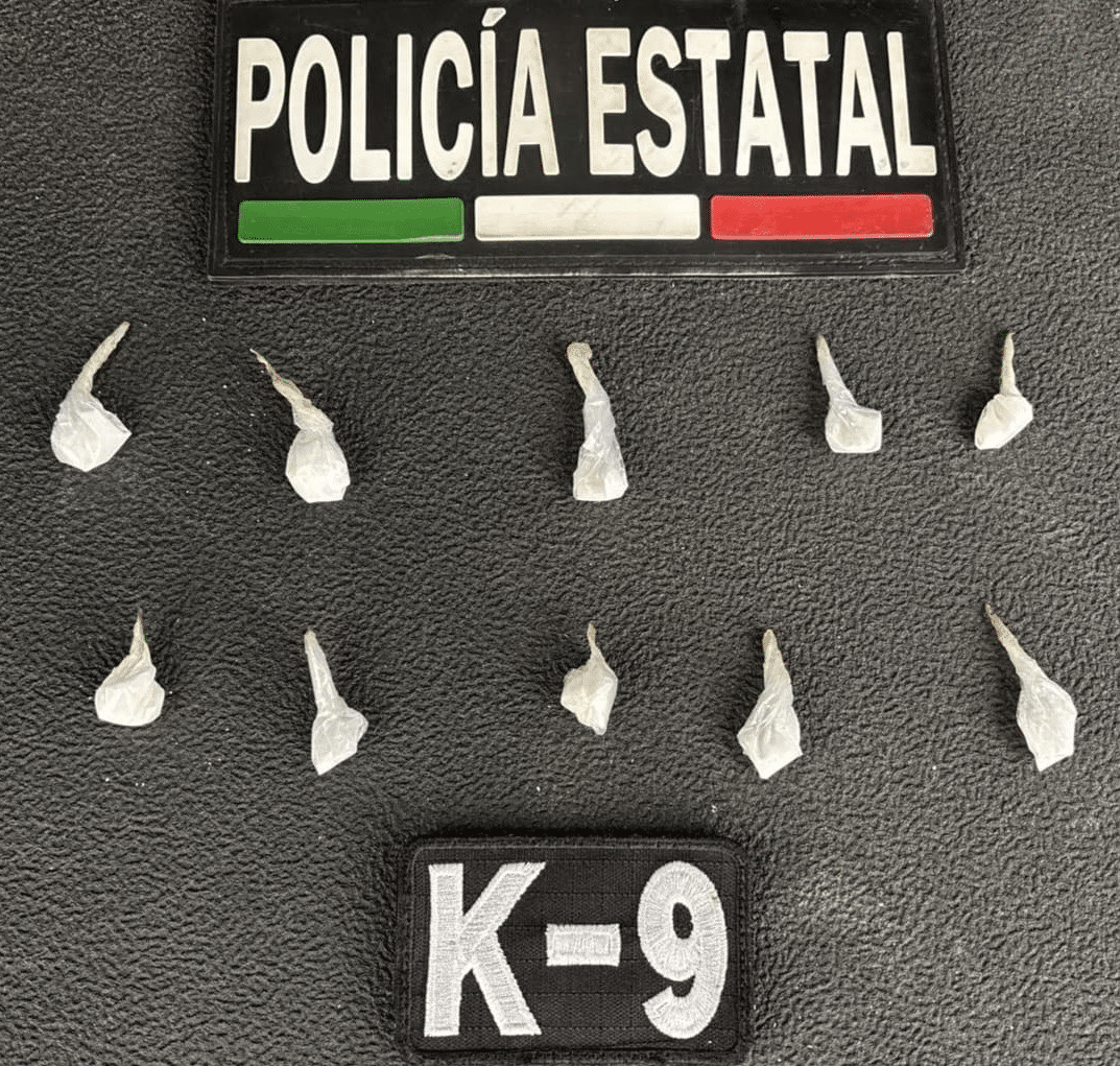 Trabajo operativo de la Unidad K9 de la PESP arroja resultados positivos en Hermosillo