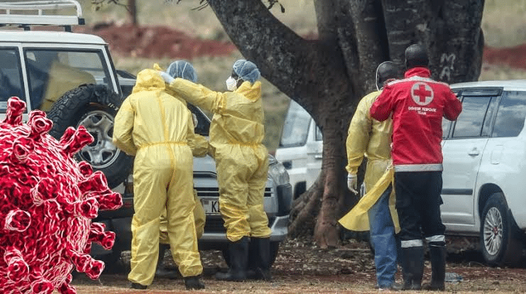 Detectan en Francia el primer caso humano del virus Shamonda; paciente murió 1 image
