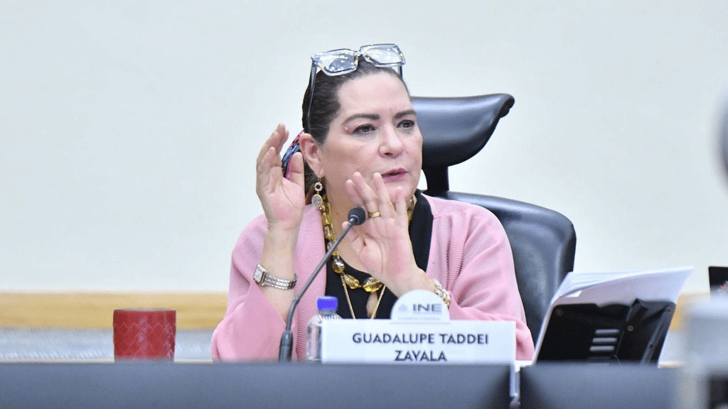 Anuncia Guadalupe Taddei renuncia al INE tras señalamientos de corrupción 1 image