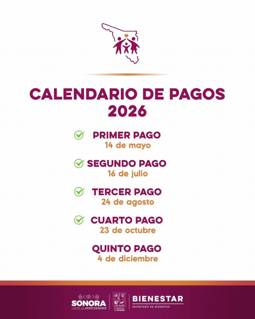 Gobierno de Sonora fortalece economía de familias vulnerables 2 image