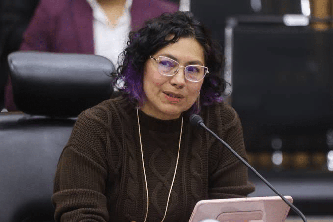 Consejera del INE Rita Bell López denuncia amenazas por no apoyar proyectos de Taddei 1 image