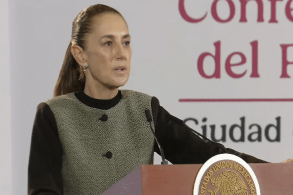 Sheinbaum acusa a Guadalupe Taddei de traicionar la confianza del pueblo de México 1 image