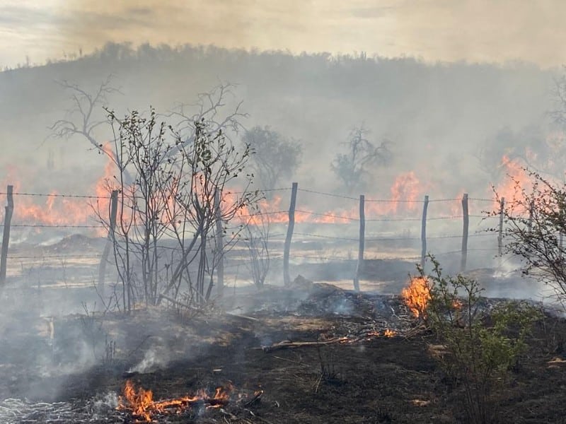 incendios-forestales-y-de-maleza-se-intensifican-en-el-valle-del-mayo-727054